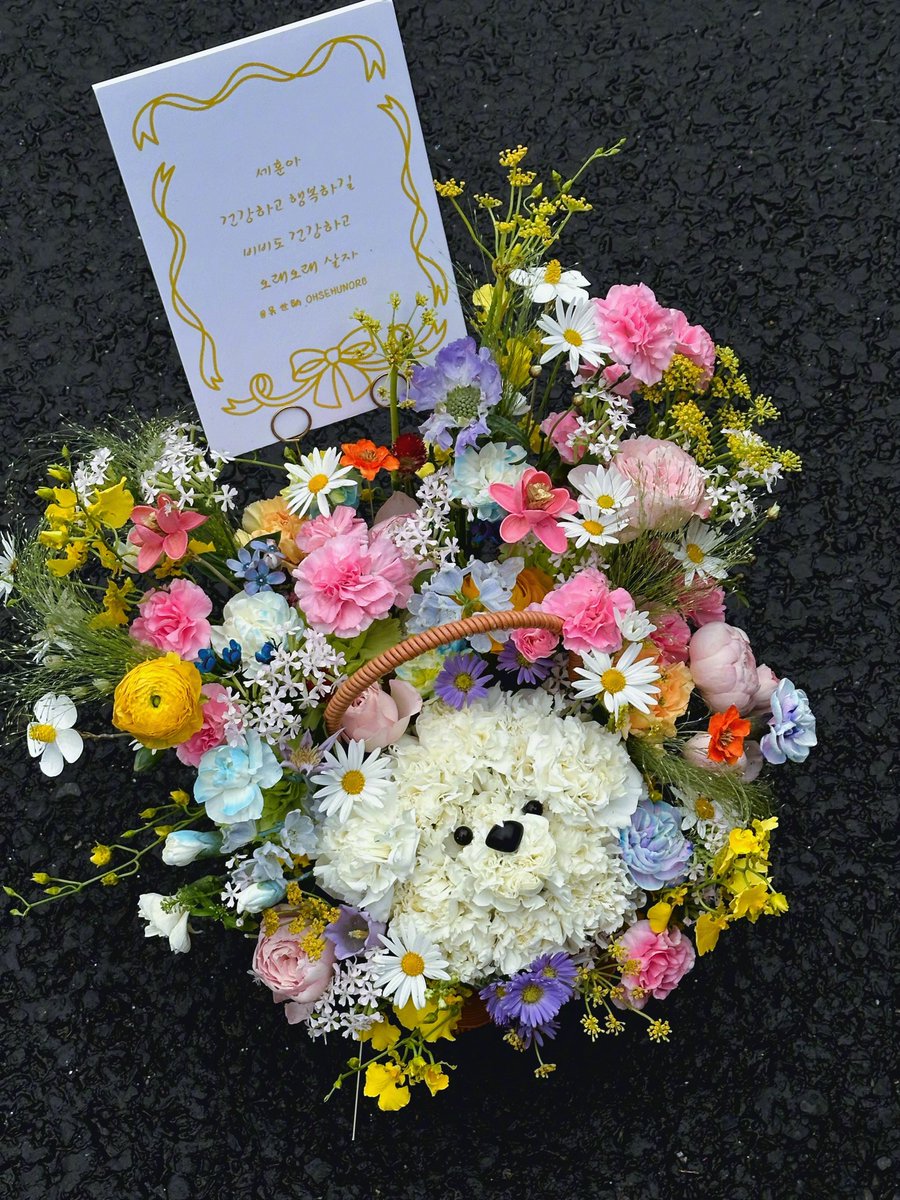 ohsehunbar prepared flower stands and a flower basket (with a vivi-shaped floral design) to show support for sehun at today’s fansign event in shanghai! 💐🐩🧡

message:
“sehunnie, we hope today’s fansign goes well and safely. please always stay healthy”
“always by sehun’s side”