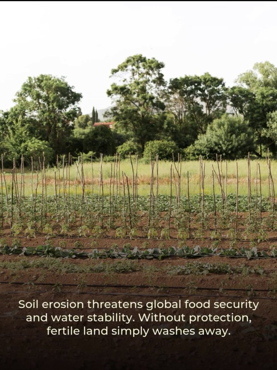 20% of the planet's vegetation has suffered a fall in productivity due to declining soil fertility. (UNEP, 2019)#SaveSoil savesoil.org