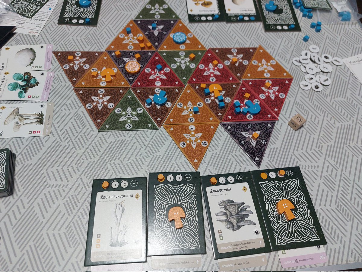 マイセリア！キノコを普及させたり、バチバチゲーム！！🥰 4人の時はキツかったけど、2人だと割りとゆるゆるで良き👍️✨