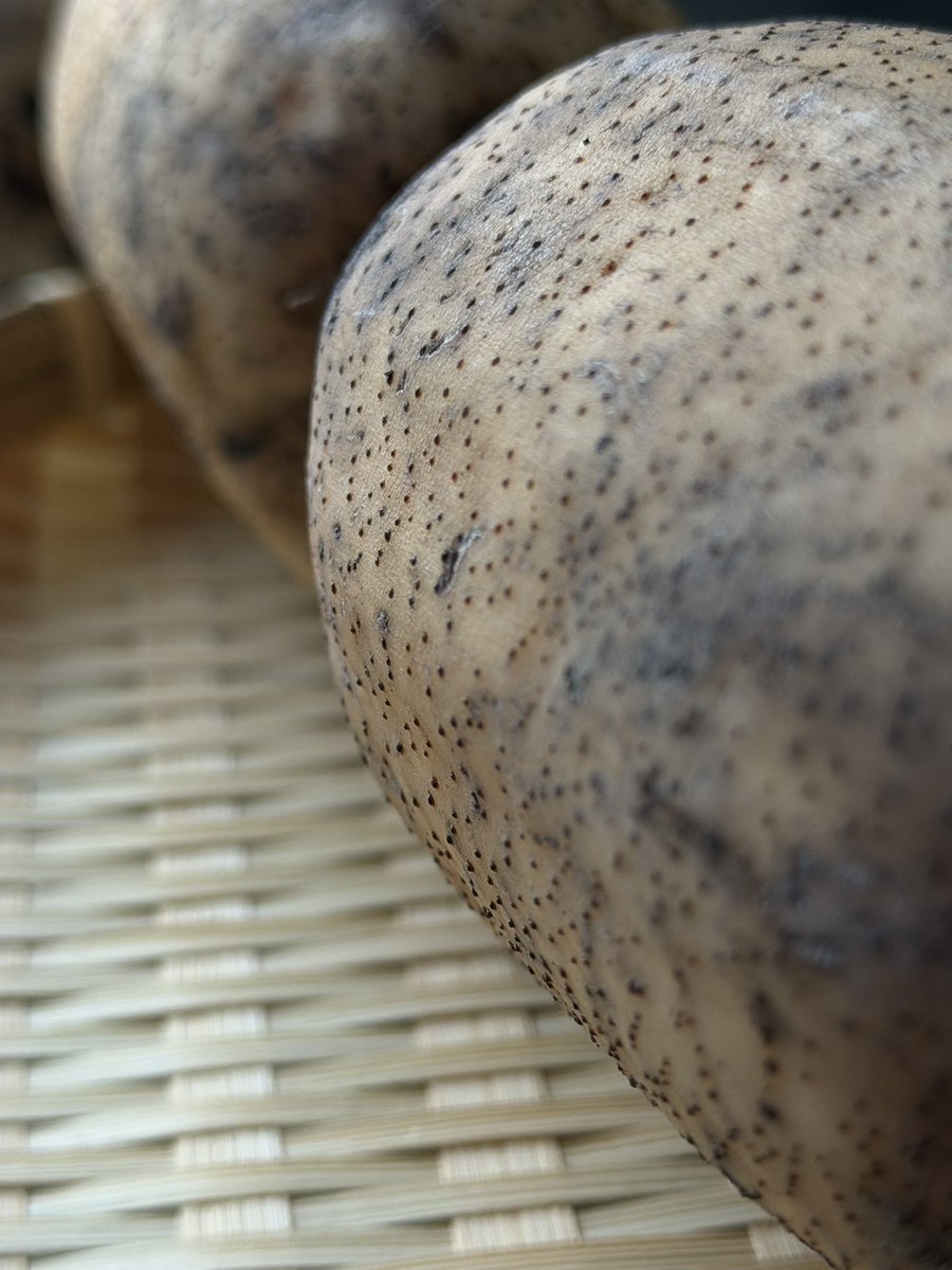 近すぎて見えないものってあるよね