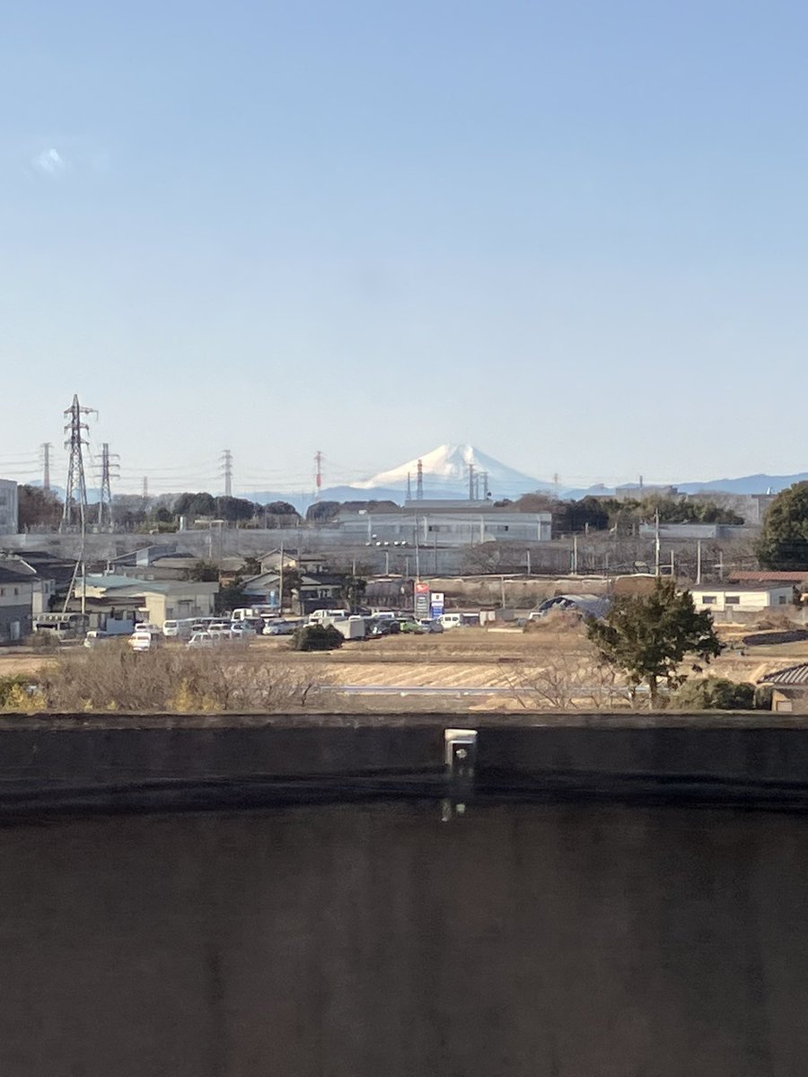 渡部 真理子 Mariko Watanabe tweet media