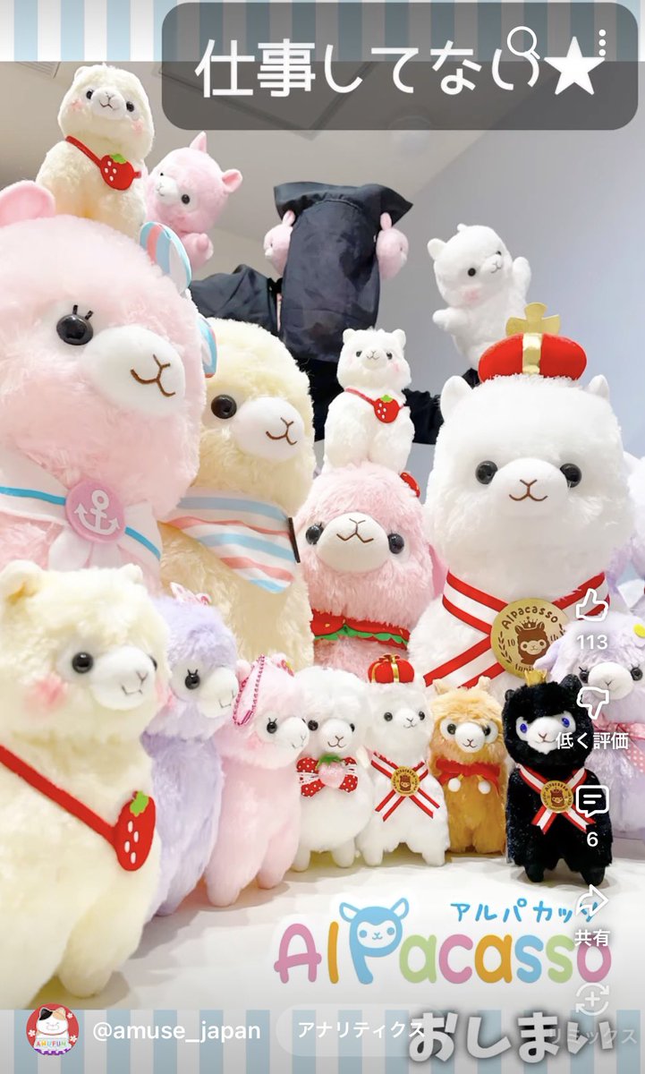 アミューズ AMUFUN【公式】 (@AMUSE_japan) / Highlights / X