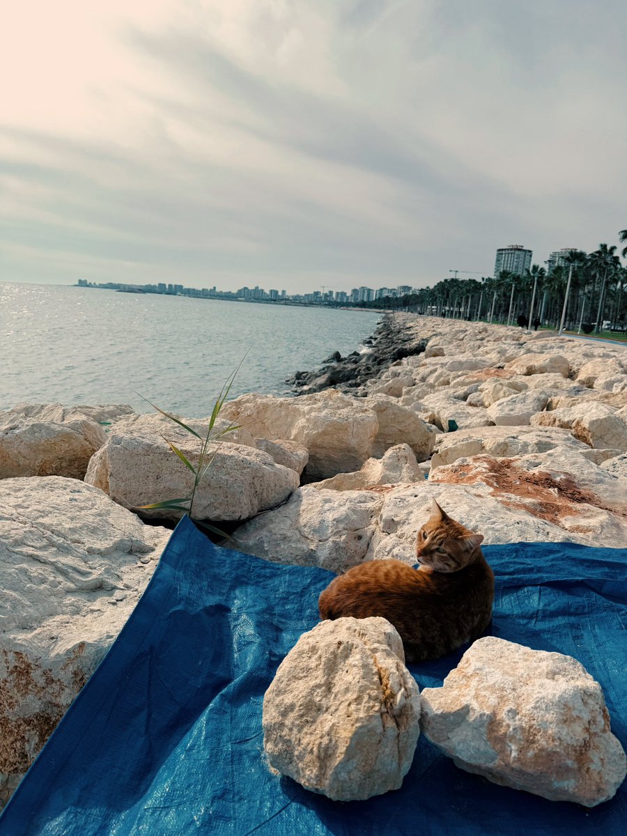 Ankara bağımlılığımın yanında denizin verdiği huzur ayrı