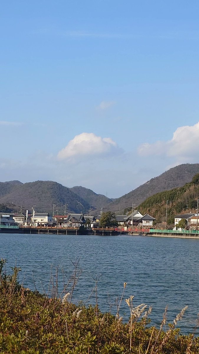 苧ヶ瀬池ひさびさ