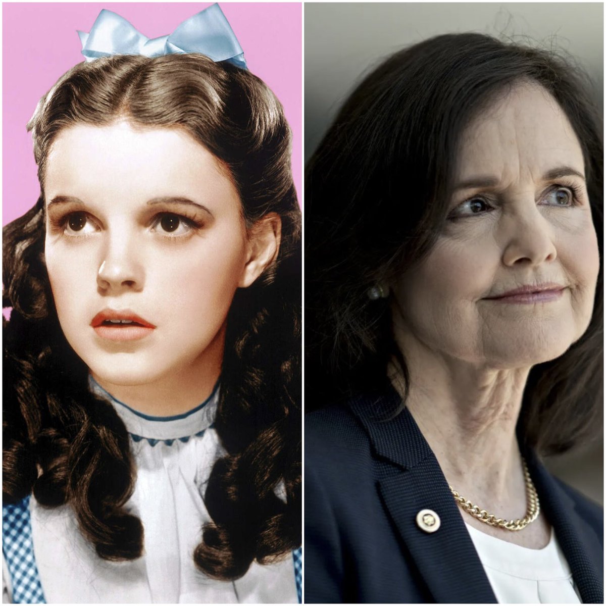 MC Solar Wind 🏴‍☠️ tweet media