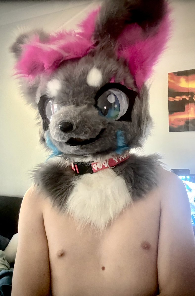 SnoweyFoxy's tweet photo. bleh

#furry #fursuit #fursuiting https://t.co/klRdXSBrDu
