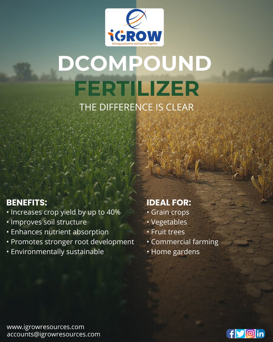 IGROW___'s tweet photo. D-Compound Fertilizer from iGROW International delivers the perfect blend of essential nutrients for stronger roots, healthier plants, and higher yields. Because great harvests start with the right foundation.

#iGROWInternational #DCompoundFertilizer #BalancedNutrition https://t.co/05X10SzHyx