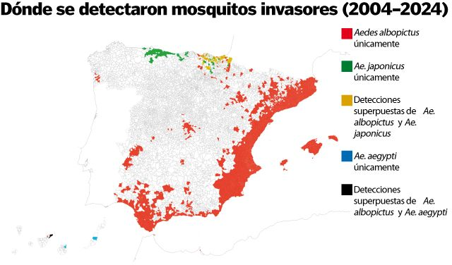 JesusAlbaSvitil's tweet photo. Así se extienden los mosquitos invasores por España y por qué gana el tigre si apenas vuela unos metros 
https://t.co/9vtvwSSiuh https://t.co/X1EkWfYLCN