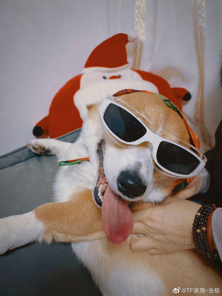 ก็ว่าทรงคุ้นๆ