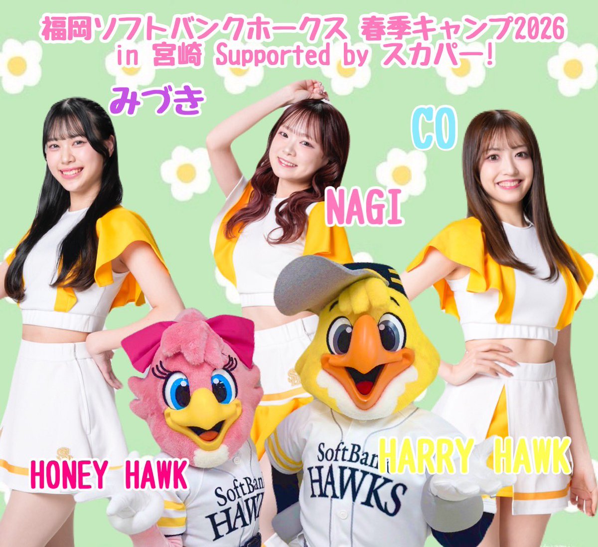 皆さんこんにちは☀️ 2/7(土)、2/8(日)は、ハリーくん・ハニーちゃん