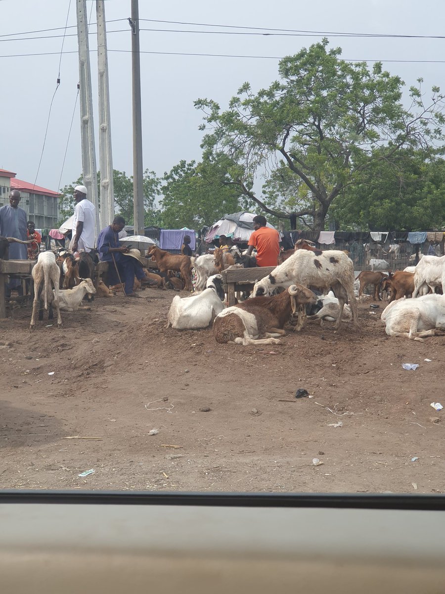 chaplinez70's tweet photo. They came with a few, today it's a full blown market in Ajah. https://t.co/UZu184SOSU