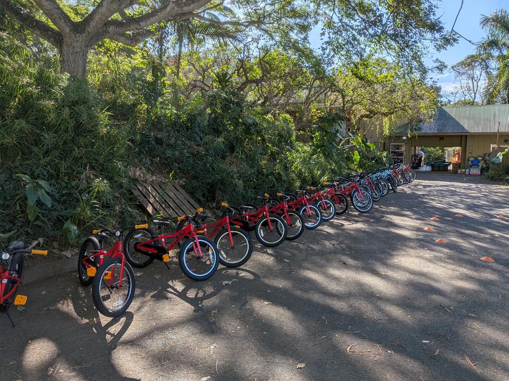Scruffy sending me off this morning for Day 3 of PATH Bike Education at Kuleana Elementary next to the rainbow eucalyptus trees...
#PATHHAWAII
#drinkhidrate
#xoskinusa
#hawaiiultra #teamfireball
Noxgear lighted vests for you and your pets noxgear.com/ref/joefirebal…