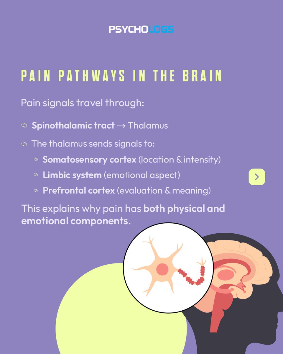 Understanding how the brain, mind, and emotions interact in pain perception helps explain why the same injury can feel different to different people.

#PainPerception #Biopsychology #HealthPsychology #PsychologyStudents #Neuroscience #MindBodyConnection #CBT #ClinicalPsychology