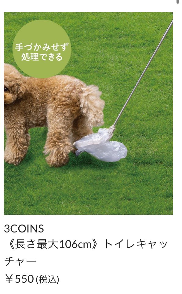 みんな3coinsでこれを買って拾うんだ🐶❕