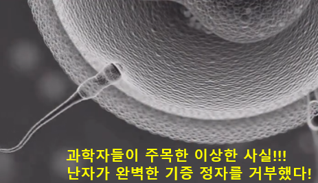 지금까지 몇십억 경쟁자랑 싸워서 
이긴줄 알았더니 아니었습니다.
생명은 경쟁의 결과가 아니라 선택의 결과!!!
난자가 선택합니다...

🧪실험 요약
• 두 남성의 정자를 같은 시험관에 넣어 
   난자와 반응을 관찰
• 약 70%의 경우, 난자는 특정 한 사람의 
   정자에게만 선택적으로 반응
•