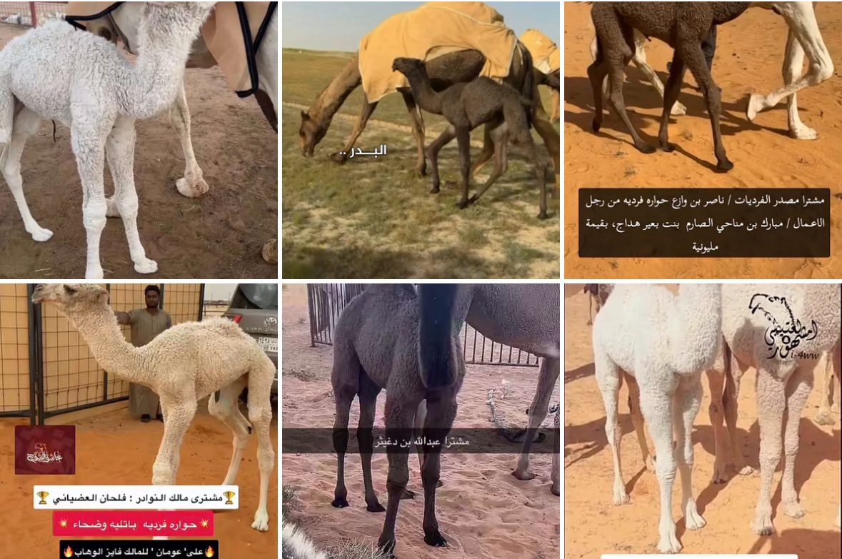 n_5mk's tweet photo. @lilililmlililil عطنا صورته خلني احطه مع قروب المطانيخ🤝🏻 https://t.co/3Sl5cud1jM