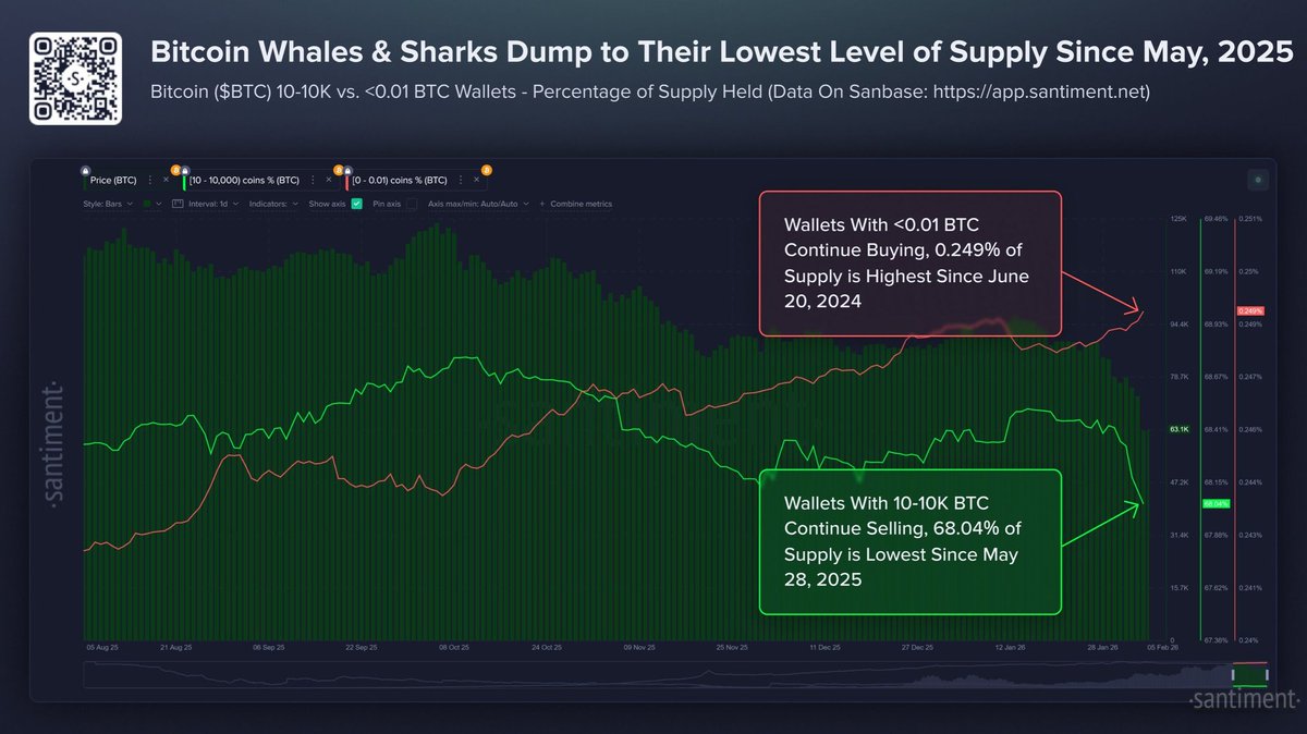 CryptoNewsHntrs's tweet photo. π¨ BITCOIN WHALE & SHARK HOLDINGS PLUMMET
π Dropped to 9-MONTH LOW of 68.04%!
π° 81K $BTC DUMPED in 8 DAYS
π Retail ACCUMULATES at 20-MONTH HIGHS!
Source: Santiment
#Bitcoin #BTC #Crypto #WhaleDump #RetailAccumulation https://t.co/saGEFcOgmG