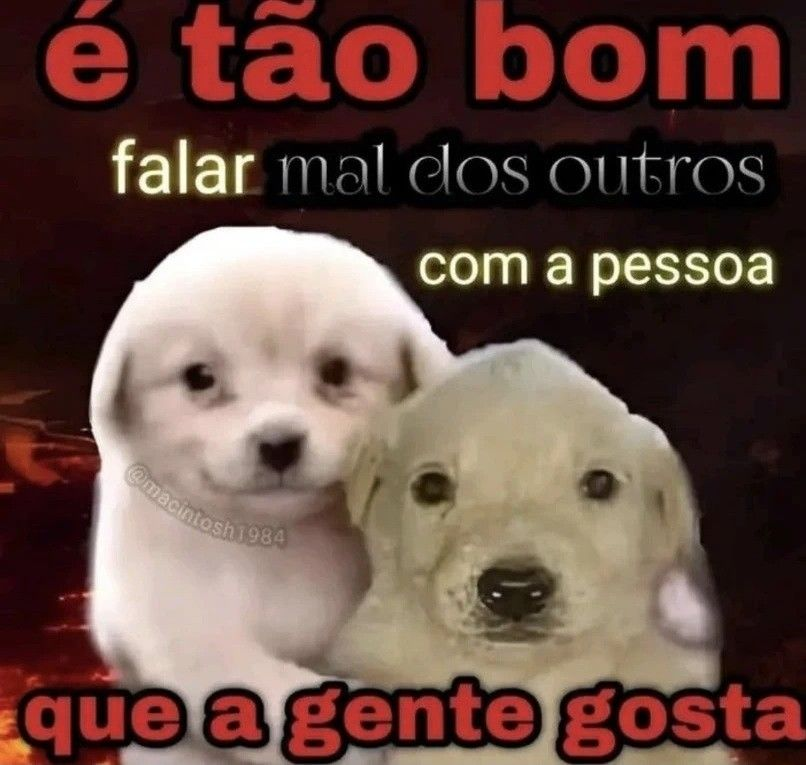 odeiootaco's tweet photo. https://t.co/gjyeUsm2Zk