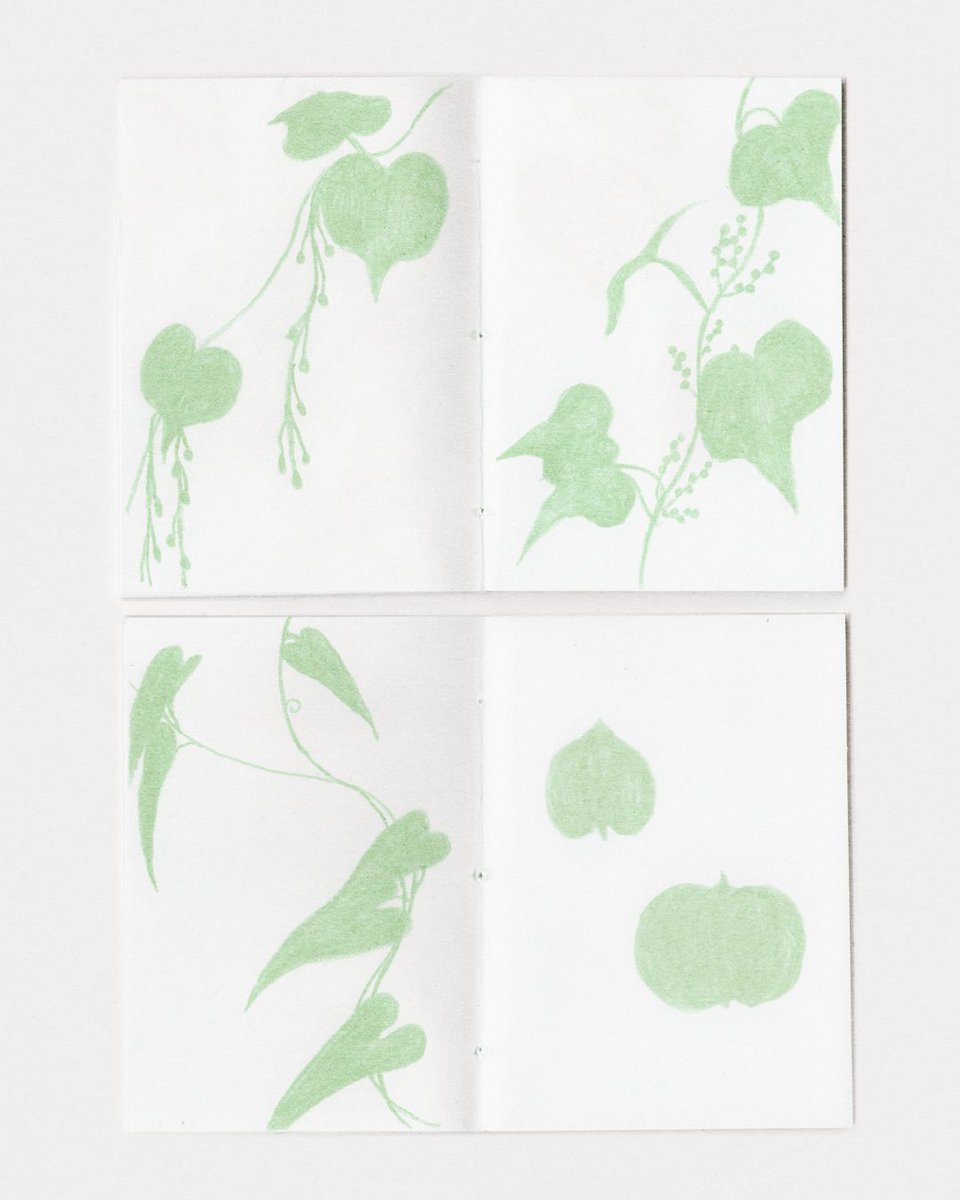 오와영 tweet media