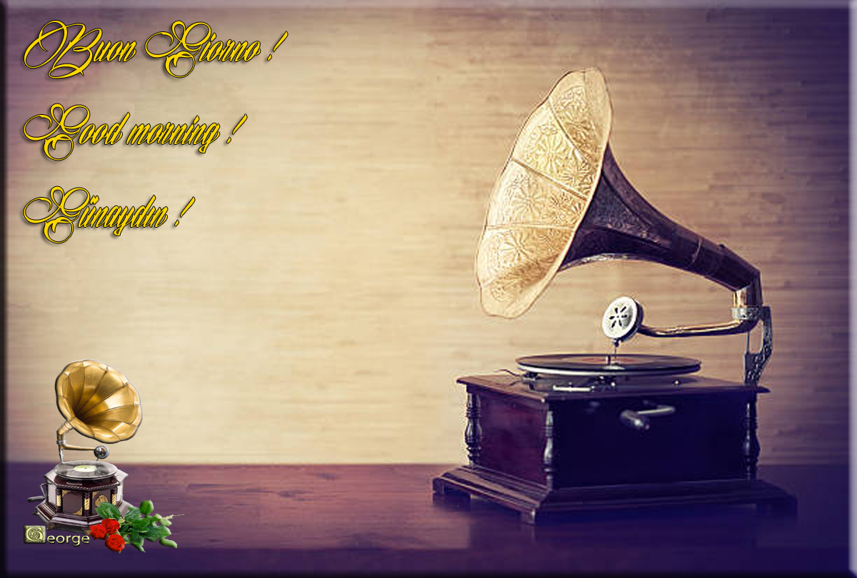 GiorGior__G's tweet photo. Sereno Venerdì Twitterini !
Happy Friday X-friends !
Günaydın sevgili dostlar !
Καλημέρα φίλοι μου !
#zelena #GrokAI #Yulioli #BuongiornoATutti #follo4folloback #GoodMorningEveryone #FridayVibes #weekendeve https://t.co/rTFbtt2LHz