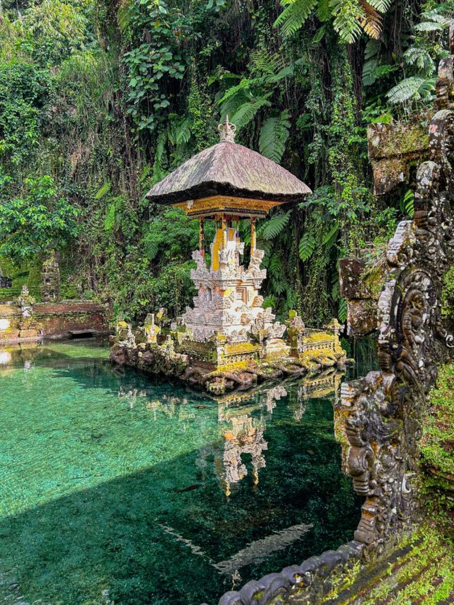 MozartCultures's tweet photo. ubud, indonesia https://t.co/E5afTNb7DG