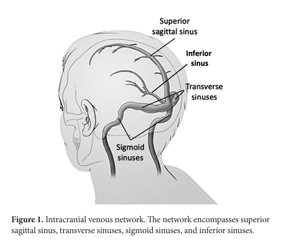 Brain & Heart - ASP tweet media