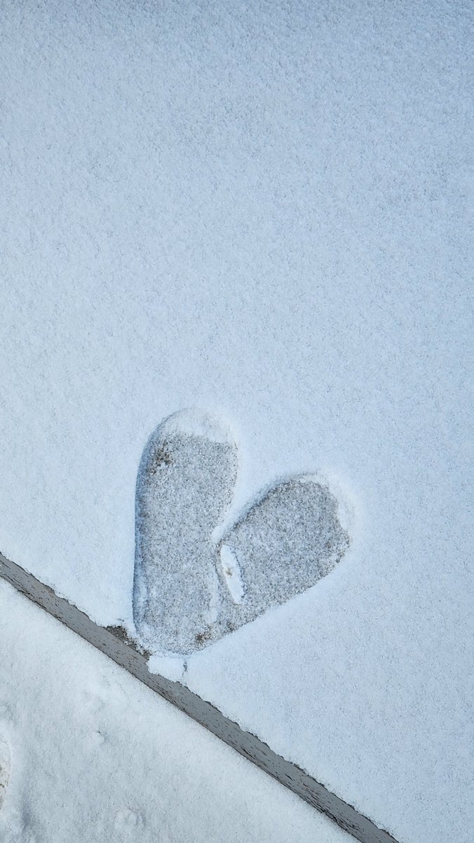 ୧⁎ᵕᴗᵕ⁎୨ tweet media