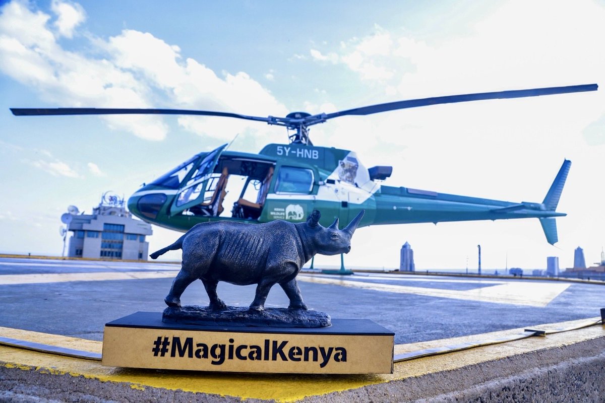 CS Rebecca Miano, EGH tweet media