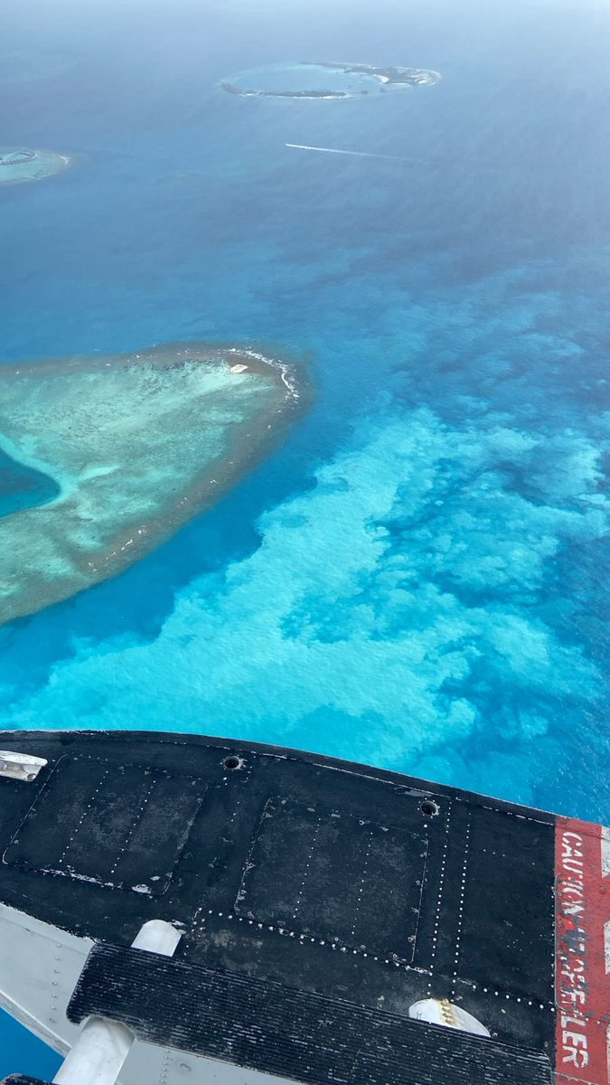 mohamedseeneen's tweet photo. @ClientEarth @foeeurope @EcopreneurEU @EUEnvironment @Greenpeace @SaveMaldivesMV What’s absent is mitigation.
No effective sediment control. No exclusion buffers. No adaptive monitoring.
Safeguards mandatory in Europe are quietly dropped once projects move to developing nations https://t.co/m7bYjcBr5H