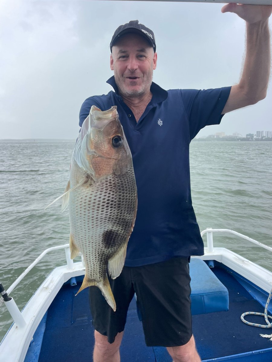 Fish Tales Charters Cairns Sportsfishing Adventure tweet media
