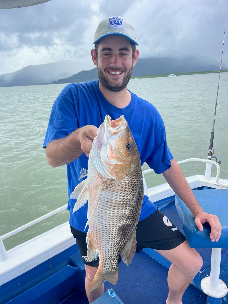 Fish Tales Charters Cairns Sportsfishing Adventure tweet media