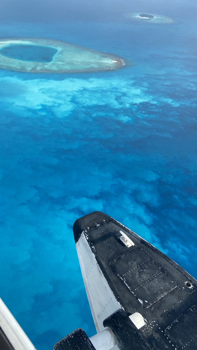 Mohamed Seeneen tweet media