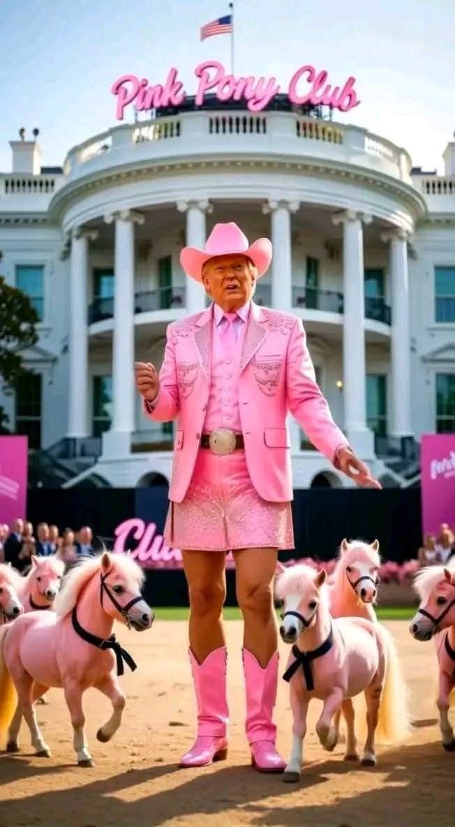 Maverick tweet media