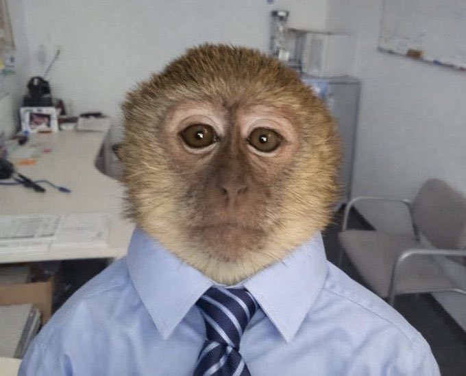 A Menace to society  tweet media