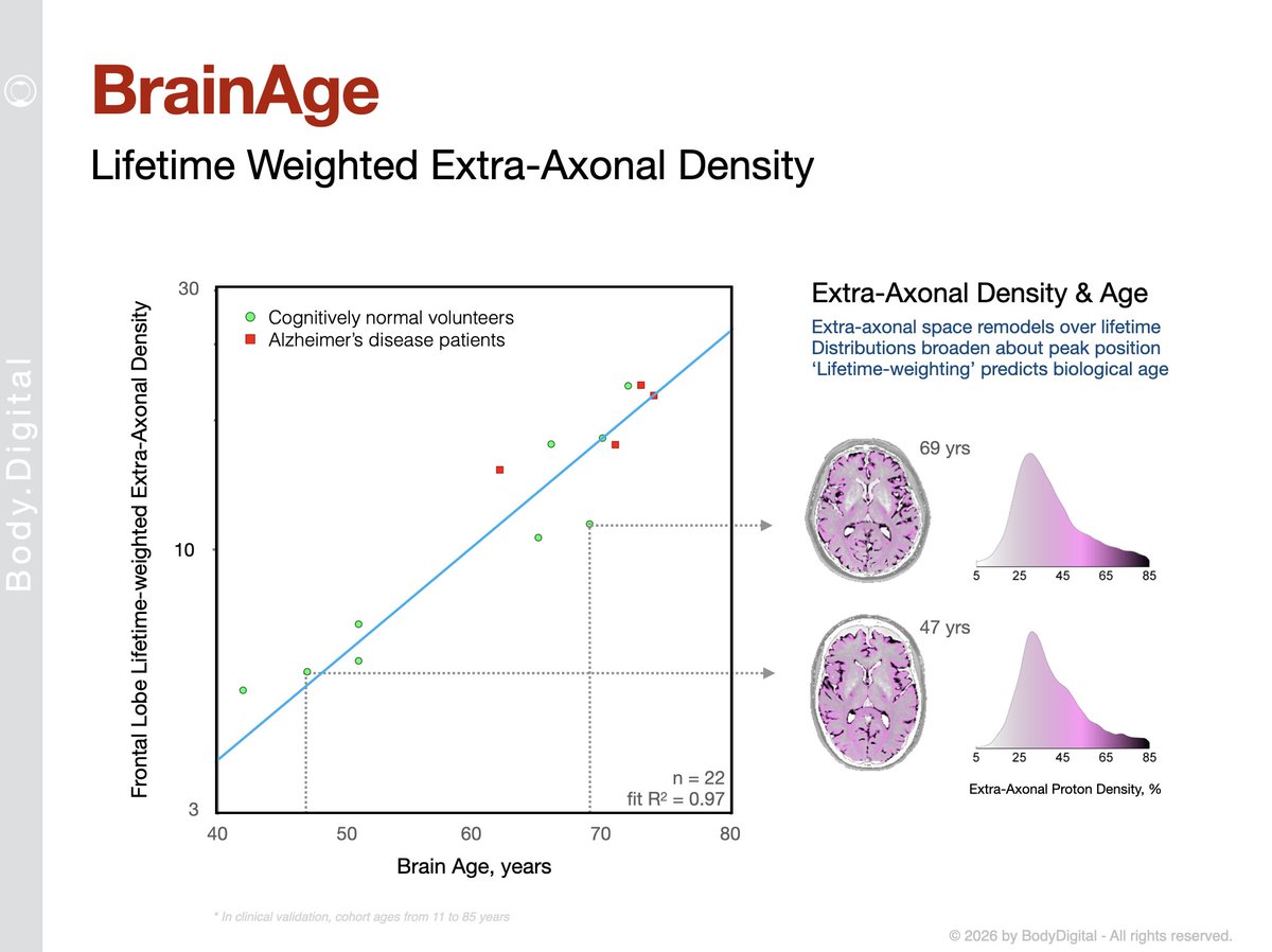 Body Digital tweet media