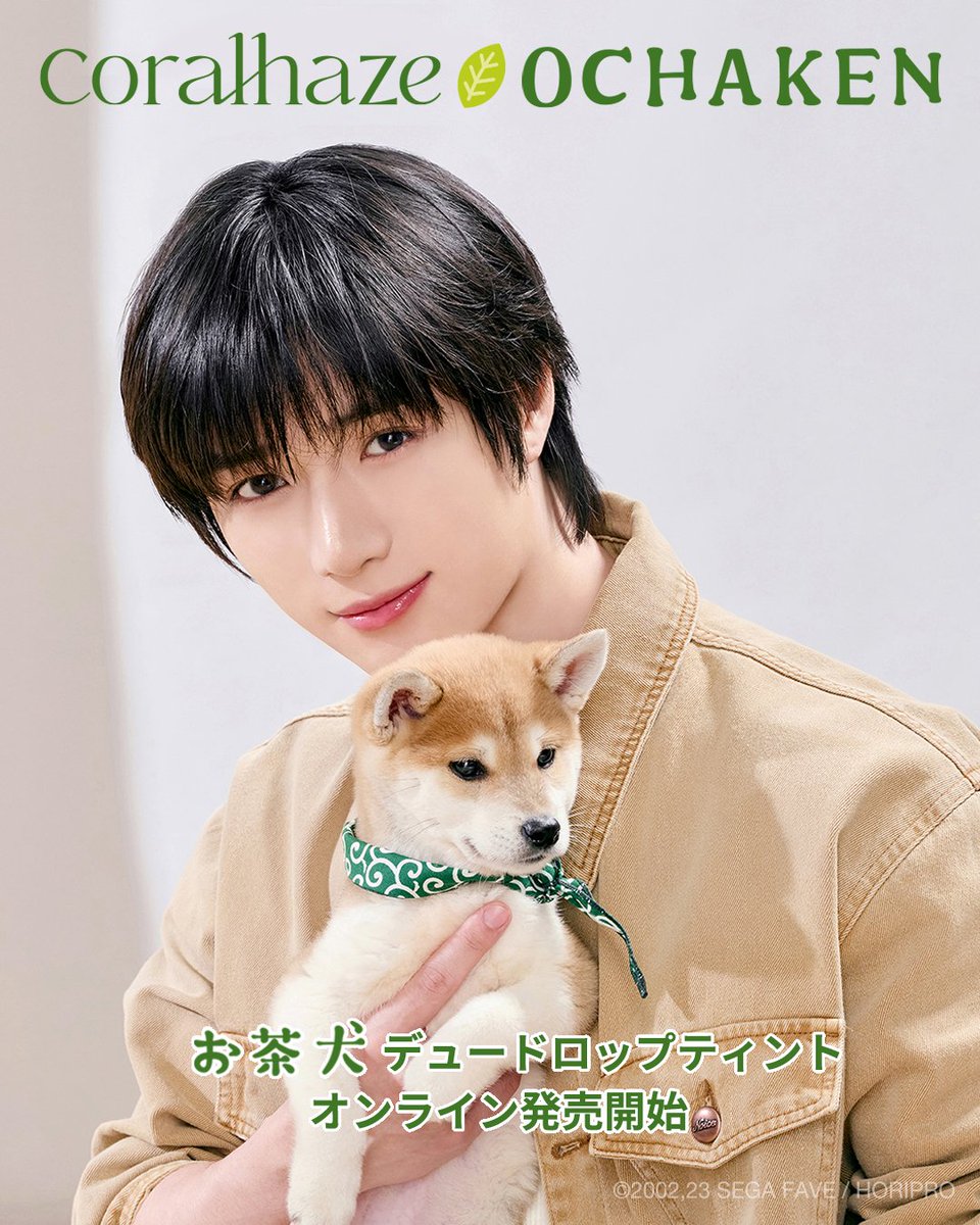 ＼ 本日ついに解禁 🐶🍵 ／

店頭で秒完した
お茶犬コラボ、オンラインきた。

数量限定。
今回も早い予感しかしない🥺

Qoo10 / 楽天で
「coralhaze」検索🔍

🧷m.qoo10.jp/su/1457015656/…

#コーラルヘイズ #お茶犬