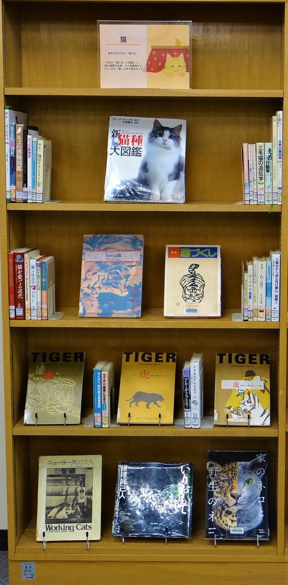 【2月のミニ展示 ＠#中央図書館 3階】

「航空」
「猫」

今年2月16日は神戸空港の開港から20年。
毎年2月22日は「猫の日」。
今回はこれらにちなんで、航空🛬と猫🐈に関する本を集めました。
この機会に、空と猫の世界に触れてみませんか。

#神戸空港 #空港 #航空 #猫の日 #猫