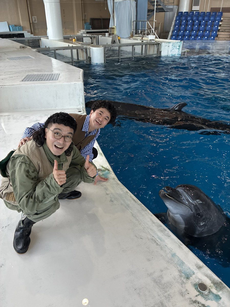 REIJITTY's tweet photo. とうとうイルカに会えた！！🐬🐬🐬零士の声でこっち向くのか確かめに行って来たよ！！🐬🐬🐬#しゃれカナ https://t.co/b7wlzUwpBg