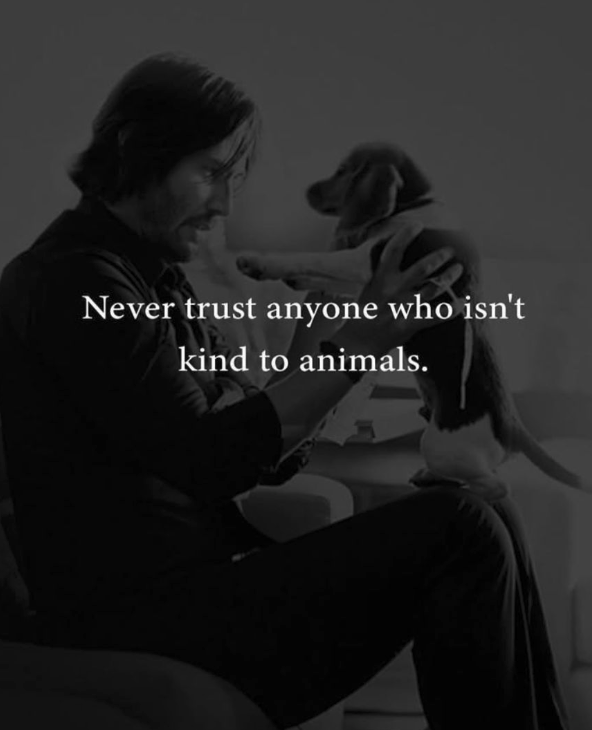 Sadie_NC's tweet photo. Words to live by.
🥰🥰 https://t.co/XnlFUeRev1