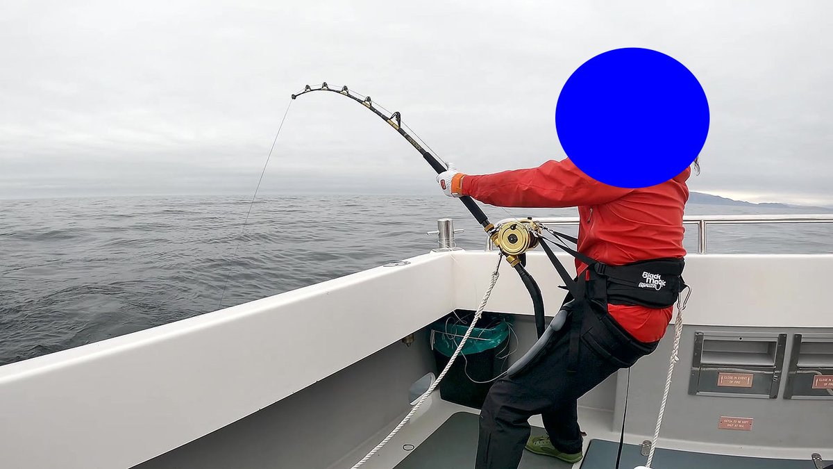 茂木陽一世界を釣る 1 海のモンスターたち Amazon.co.jp: 茂木陽一世界