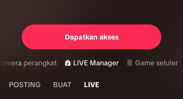 wts wtb akun tiktok tweet media