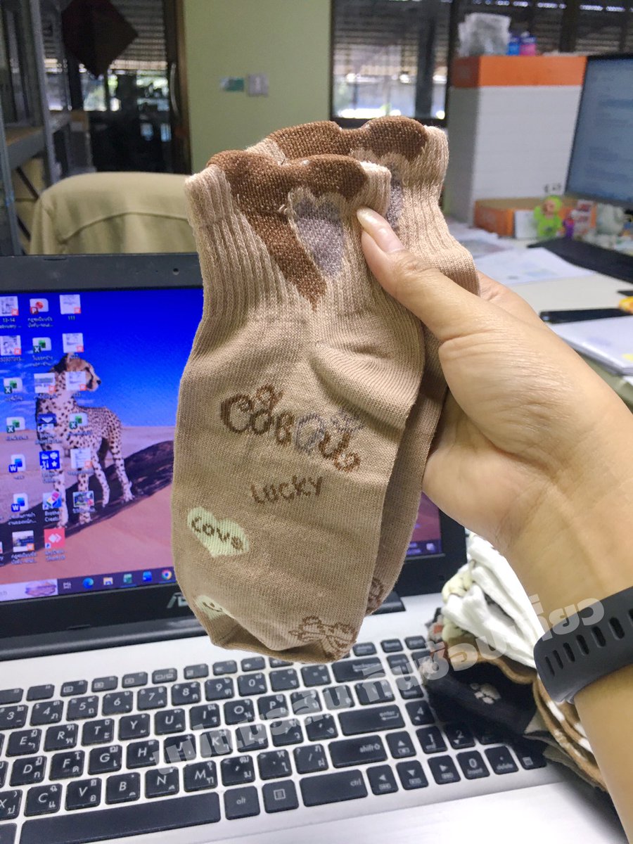 แม่แมวส้มห้าตัว|อ่านนิยายวาย tweet media