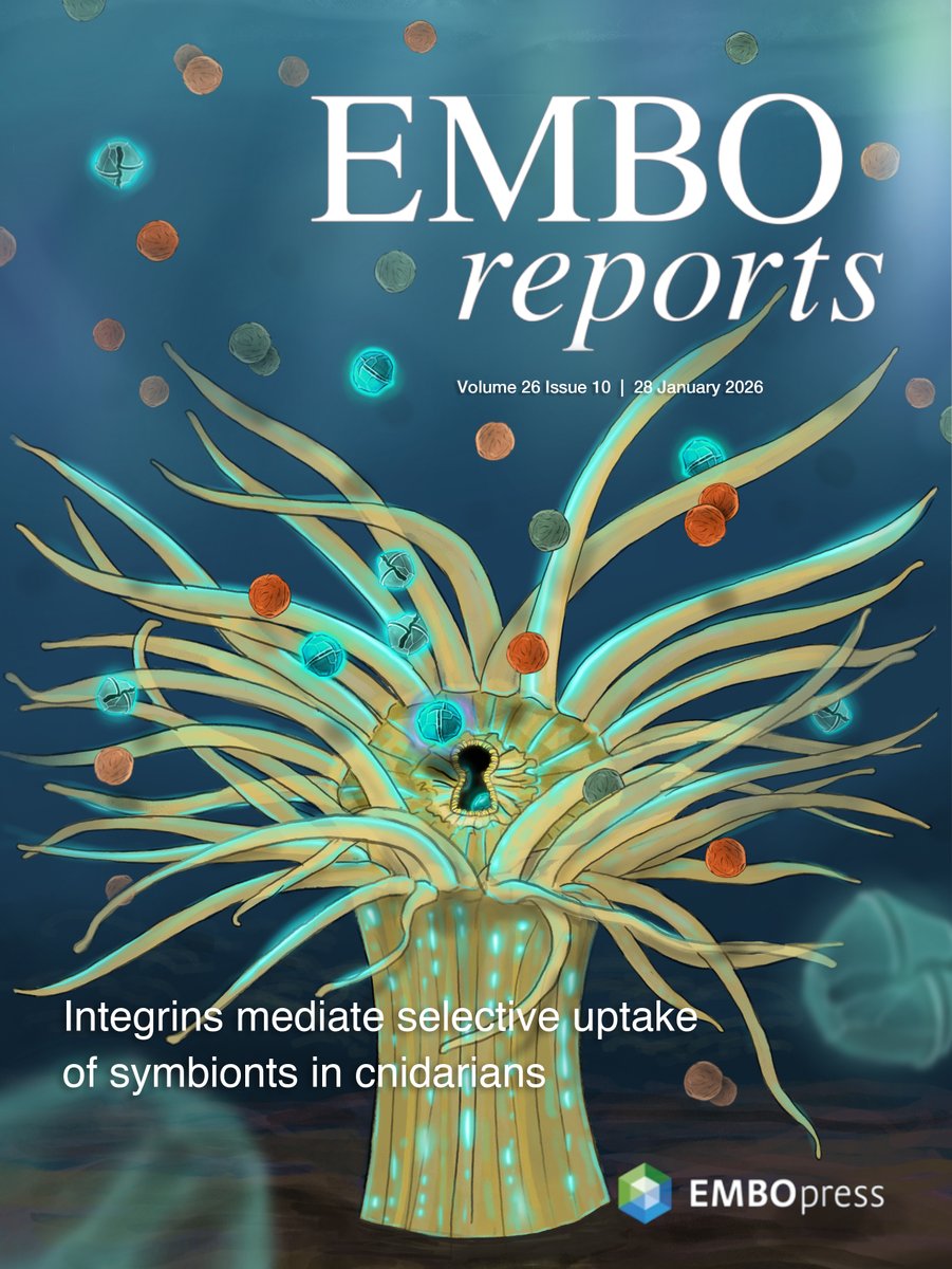 Maayan Harel 🟣 Visual storytelling for science tweet media