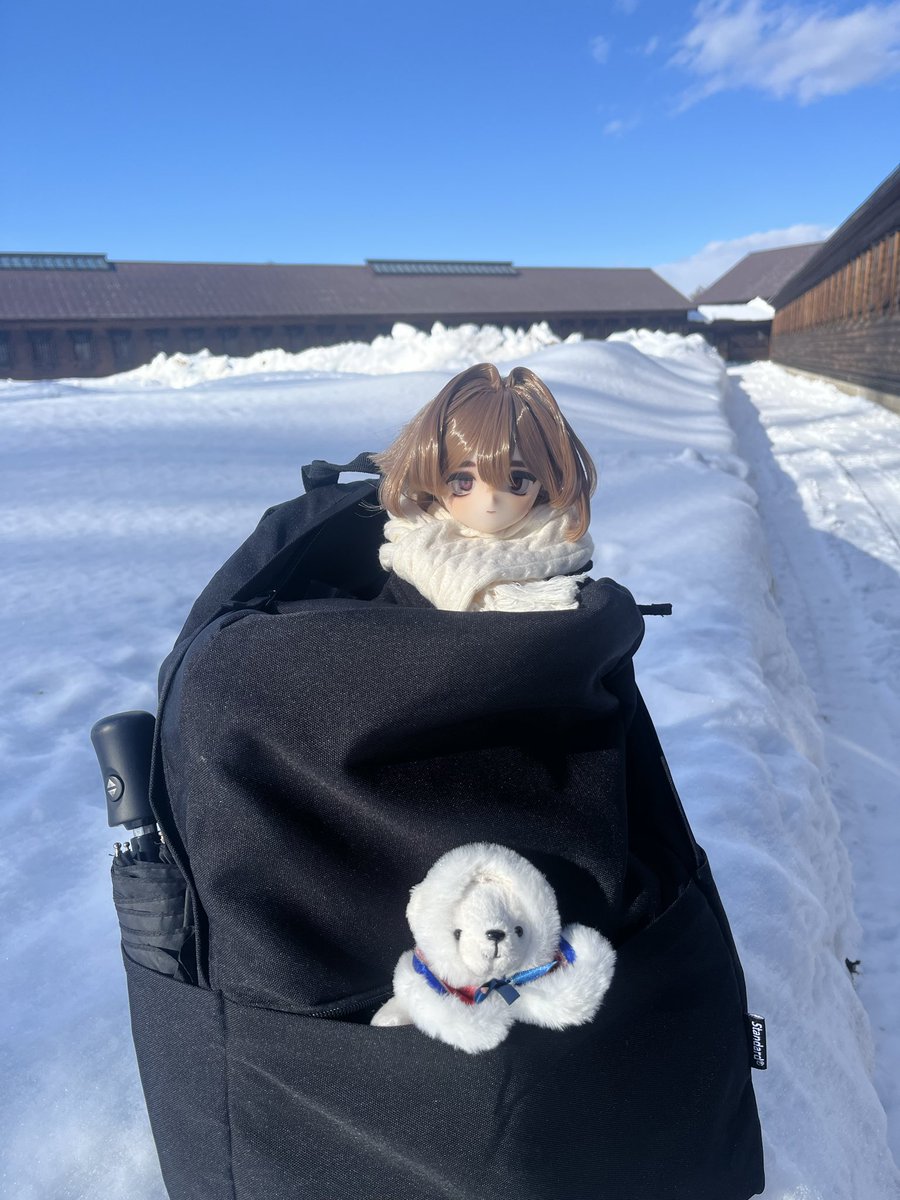 分かりにくいけど網走監獄。

 #ささドール