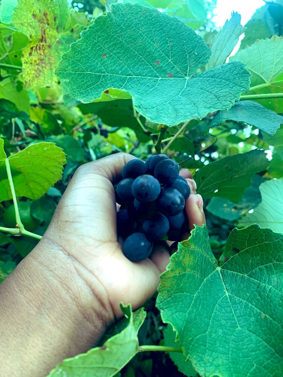 Patiently waited for em🖤