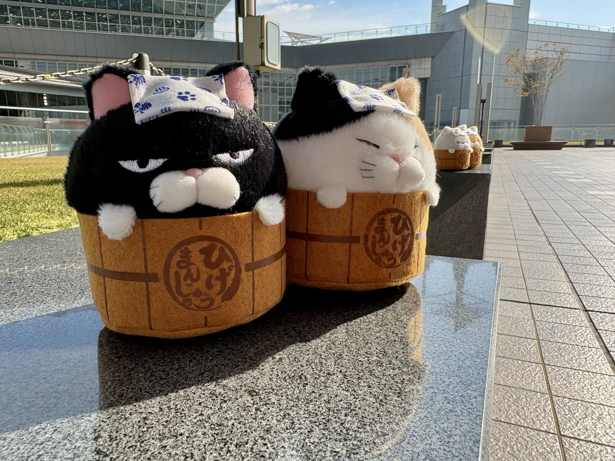 アミューズ AMUFUN【公式】 (@AMUSE_japan) / Highlights / X