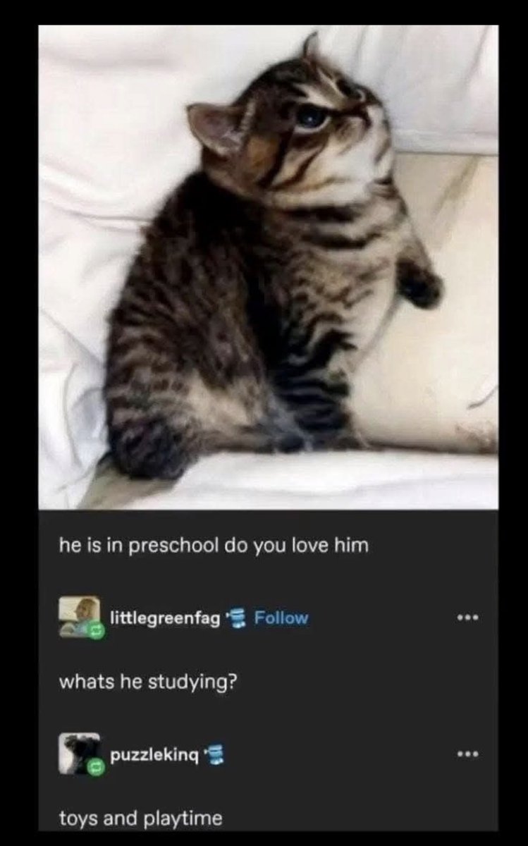Respectful Memes (@respectfulmemes) on Twitter photo 