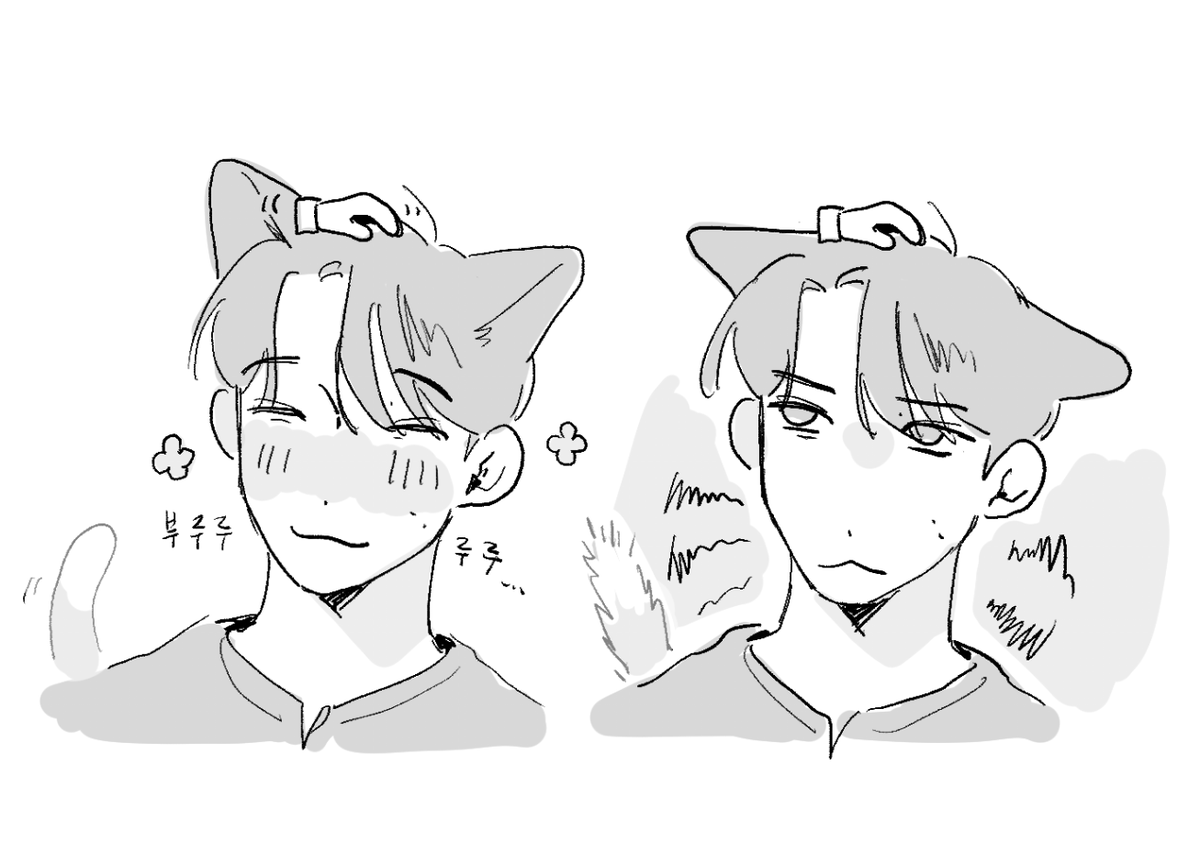 😸😾 