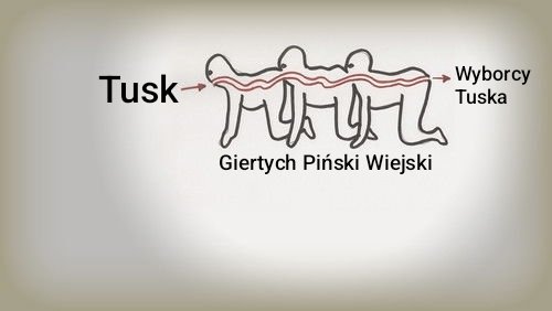 DonaldTyfus tweet media