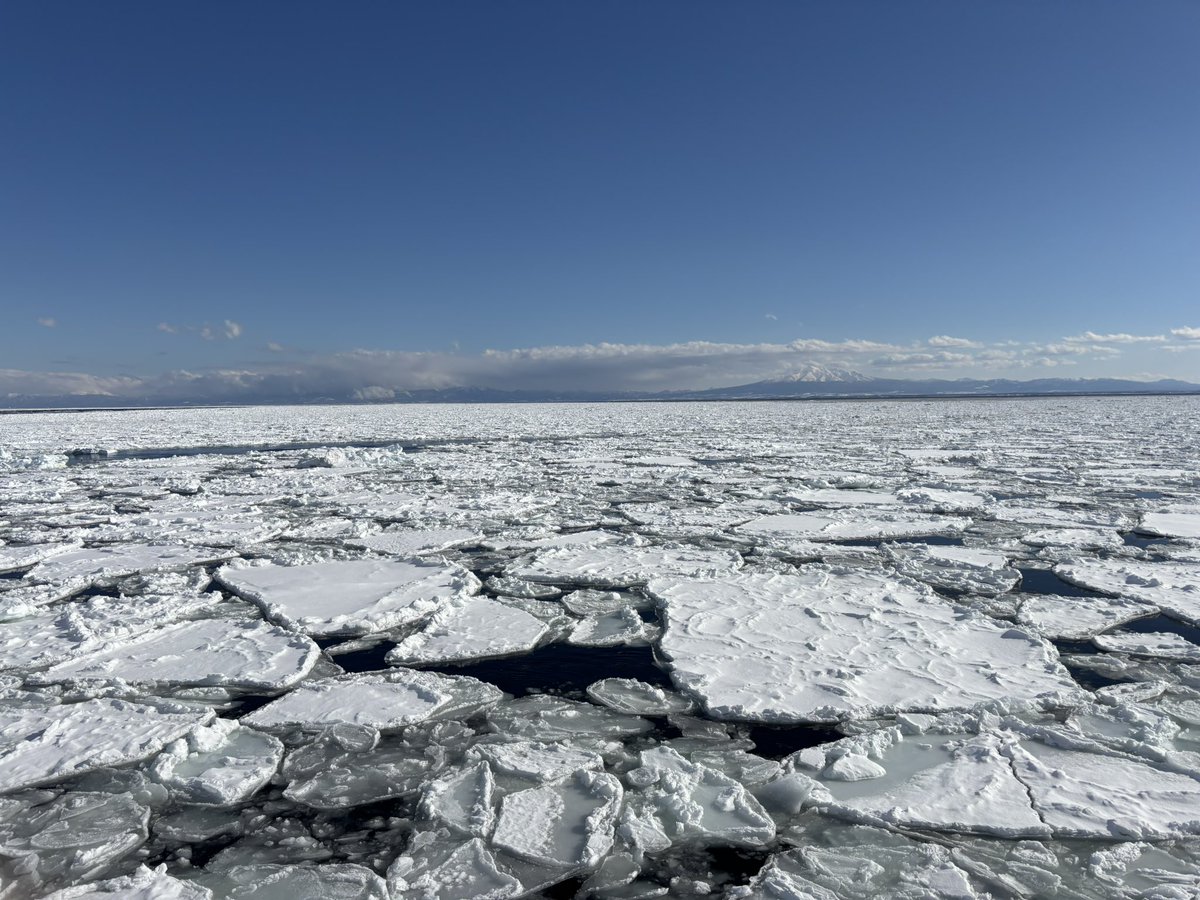 Visdon's tweet image. 流氷砕氷船おーろらに乗って流氷見てきました
元々はガリンコ号の予定だったけど今日は強風で運行休止。ワンチャン当日券狙いで行ってよかった！